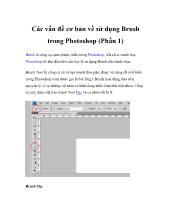 Các vấn đề cơ bản về sử dụng Brush trong Photoshop