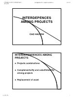 Interdepences Among Projects