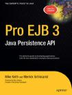 Pro EJB 3 - Java Persistence API