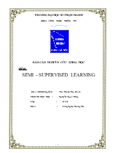 Đề tài Semi – Supervised learning