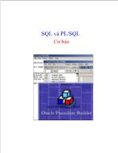 Giáo trình Oracle SQL PLSQL căn bản - Tiếng Việt