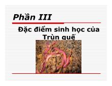 Đặc điểm sinh học của Trùn quế