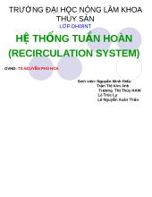 Hệ thống tuần hoàn (recirculation system)