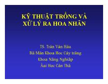 Kỹ thuật trồng và xử lí ra hoa nhãn