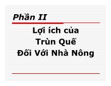 Lợi ích của trùn quế đối với nhà nông