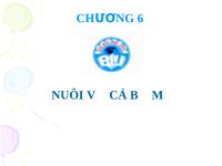 Nuôi vỗ cá bố mẹ