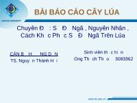 Sự đổ ngã, nguyên nhân, cách khắc phục sự đổ ngã trên lúa