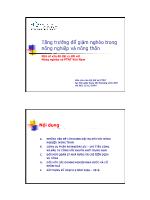 Tăng trưởng để giảm nghèo trong nông nghiệp và nông thôn