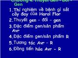 Thuyết Gen - Đối - Gen