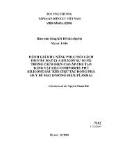 Đánh giá khả năng phục hồi cách điện bề mặt của silicon sử dụng trong cách điện cao áp chế tạo bằng vật liệu composite phủ silicone sau khi chịu tác động phá hủy bề mặt (phóng điện / Plasma)