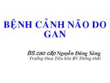 Bệnh cảnh não do gan