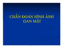 Chẩn đoán hình ảnh gan mật