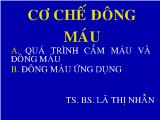 Cơ chế đông máu