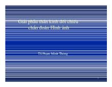 Giải phẫu thần kinh đối chiếu chẩn đoán Hình ảnh