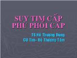 Suy tim cấp phù phổi cấp