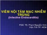 Viêm nội tâm mạc nhiễm trùng