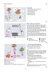 Tập 4: Bài test kiểm tra Hệ Thống Truyền Lực