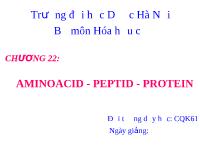 Aminoacid - Peptid - protein