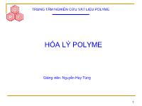 Hóa lý polyme