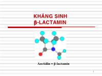 Kháng sinh β-Lactamin