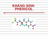 Kháng sinh phenicol