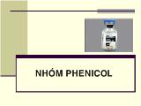 Nhóm phenicol