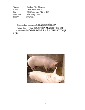 Báo cáo Thực hành chăn nuôi lợn