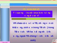 Chu Kì nhân lên của virus