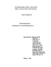 Chuyên đề Báo cáo biến đổi khí hậu và ảnh hưởng của biến đổi khí hậu (ĐH Nông Lâm TPHCM)