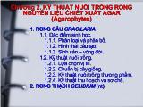 Kỹ thuật sản xuất rong biển