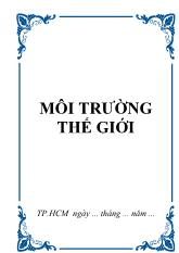 Môi trường thế giới