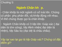 Ngành Chân khớp