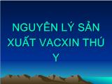 Nguyên lý sản xuất vacxin thú y