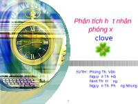 Phân tích hạt nhân phóng xạ