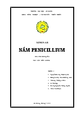 Seminar nấm penicillium