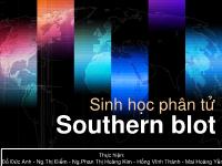 Sinh học phân tử Southern blot