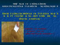 Tìm hiểu công tác phân loại đất và xây dựng bản đồ đất tại xã Thủy Bằng, huyện Thủy Phương, tỉnh Thừa Thiên Huế