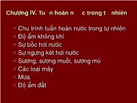 Tuần hoàn nước trong tự nhiên