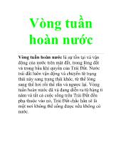 Vòng tuần hoàn nước