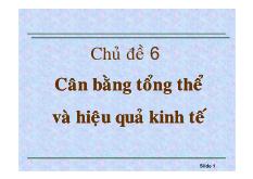 Cân bằng tổng thể và hiệu quả kinh tế