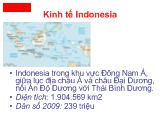 Cơ cấu Kinh Tế Indonesia