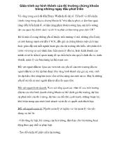 Giáo trình sự hình thành của thi trường chứng khoán trong những ngày đầu phát triển