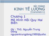 Mô Hình Hồi Quy Hai Biến Trong Kinh Tế Lượng