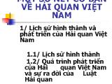 Một số nét cơ bản của Hải quan Việt Nam