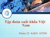 Tập đoàn xuất khẩu Việt Nam (slide)