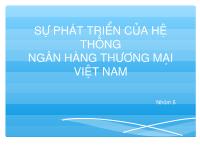 Sự phát triển của hệ thống ngân hàng thương mại Việt Nam