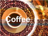 Tài trợ dự án - Giải pháp nâng cao thương hiệu COFFEE Việt nam (slide)