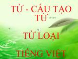 Tiếng Việt thực hành- Từ, cấu tạo từ loại tiếng Việt