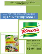Đề tài Phân tích kế hoạch Marketing hạt nêm từ thịt Knorr
