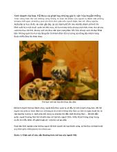 Kinh doanh trà hoa- Kế thừa và phát huy những giá trị văn hóa truyền thống